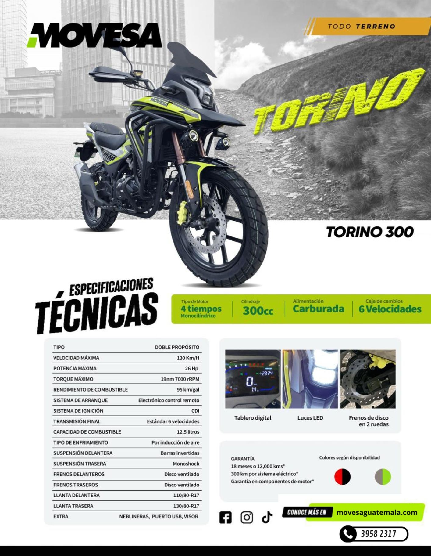 TORINO 300